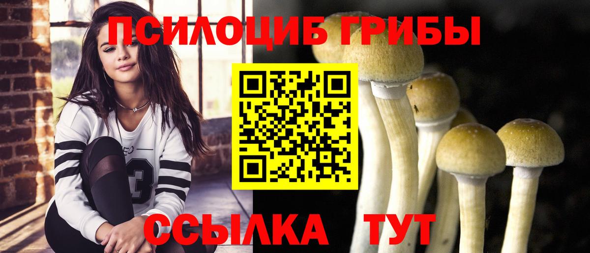 купить закладку  Вход с VPN  Орехово-Зуево  Псилоцибиновые грибы GOLDEN TEACHER 